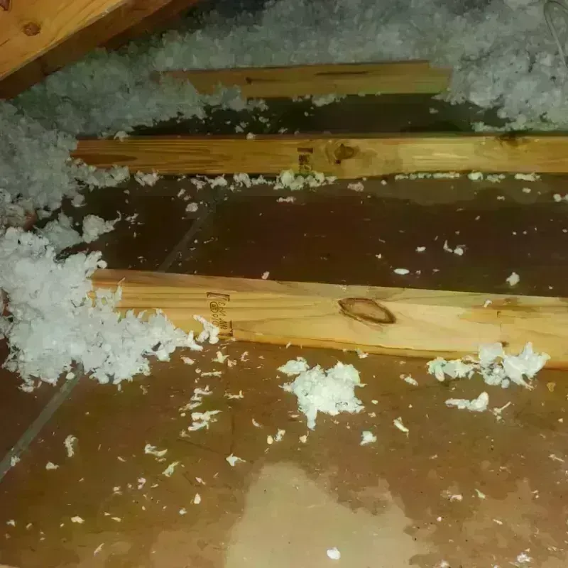 Attic Water Damage in Muniz, TX