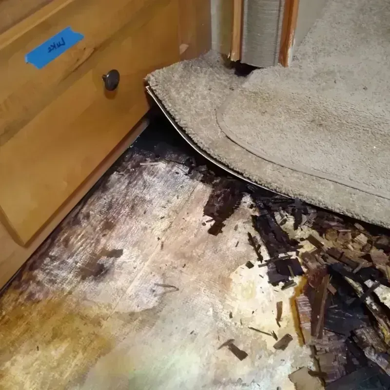 Best Wood Floor Water Damage Service in Muniz, TX